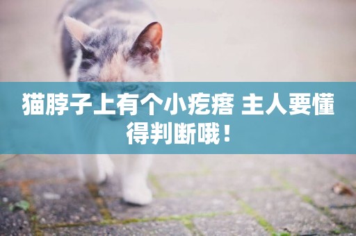 貓脖子上有個小疙瘩 主人要懂得判斷哦！