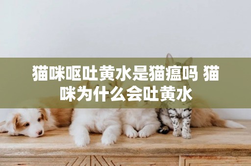 貓咪嘔吐黃水是貓瘟嗎 貓咪為什么會吐黃水