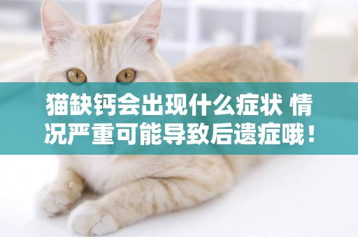 貓缺鈣會出現什么癥狀 情況嚴重可能導致后遺癥哦！