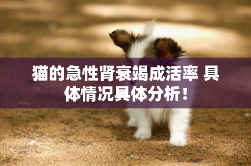 貓的急性腎衰竭成活率 具體情況具體分析！
