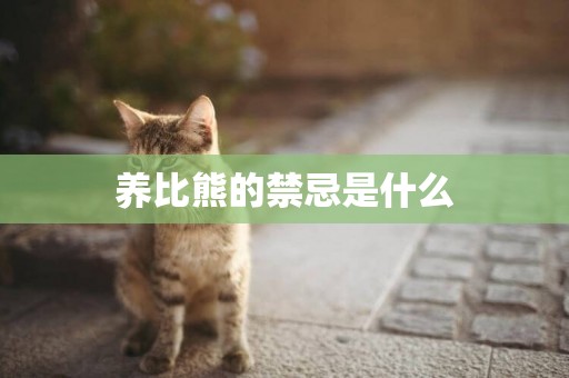 養比熊的禁忌是什么