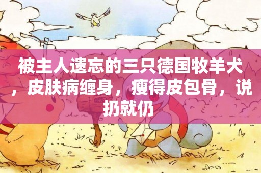 被主人遺忘的三只德國牧羊犬，皮膚病纏身，瘦得皮包骨，說扔就仍 