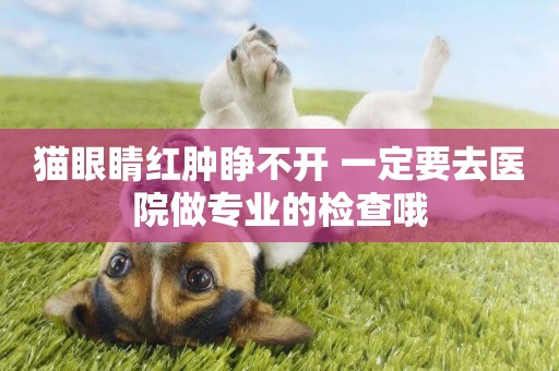 貓眼睛紅腫睜不開 一定要去醫院做專業的檢查哦