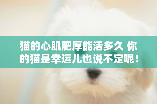 貓的心肌肥厚能活多久 你的貓是幸運兒也說不定呢！