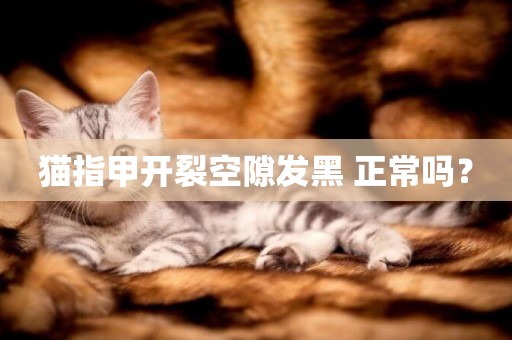 貓指甲開裂空隙發黑 正常嗎？