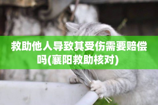 救助他人導致其受傷需要賠償嗎(襄陽救助核對) 