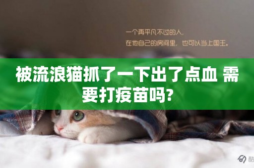 被流浪貓抓了一下出了點血 需要打疫苗嗎?