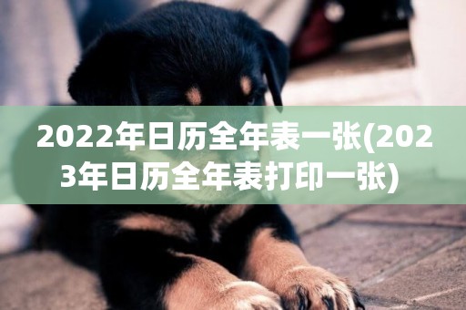 2022年日歷全年表一張(2023年日歷全年表打印一張) 