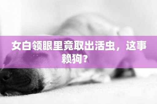 女白領眼里竟取出活蟲，這事賴狗？ 