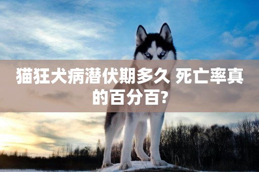 貓狂犬病潛伏期多久 死亡率真的百分百?