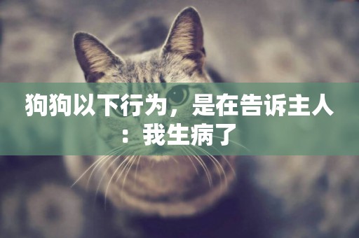 狗狗以下行為，是在告訴主人：我生病了 