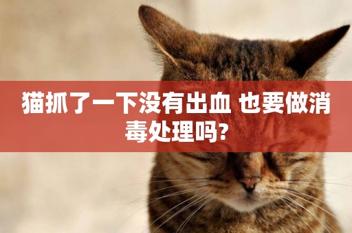 貓抓了一下沒有出血 也要做消毒處理嗎?