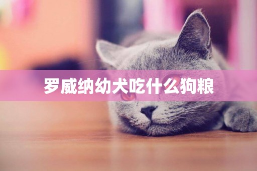 羅威納幼犬吃什么狗糧