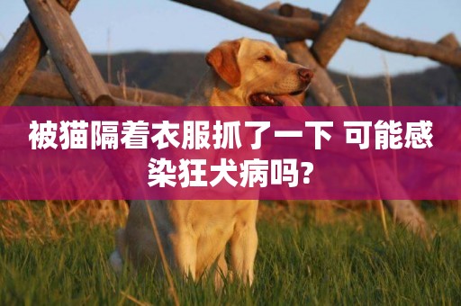 被貓隔著衣服抓了一下 可能感染狂犬病嗎?