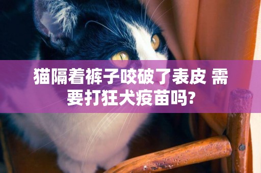 貓隔著褲子咬破了表皮 需要打狂犬疫苗嗎?