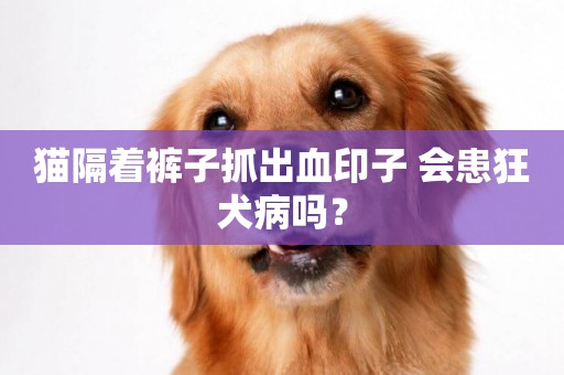 貓隔著褲子抓出血印子 會患狂犬病嗎？