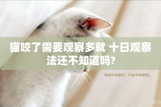 貓咬了需要觀察多就 十日觀察法還不知道嗎?