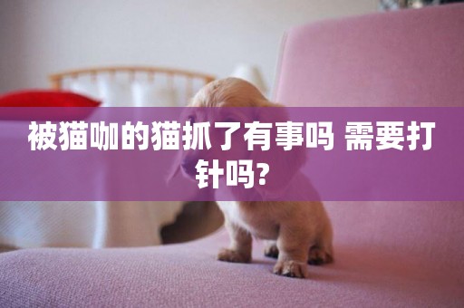 被貓咖的貓抓了有事嗎 需要打針嗎?