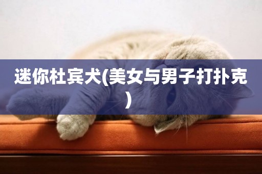 迷你杜賓犬(美女與男子打撲克) 