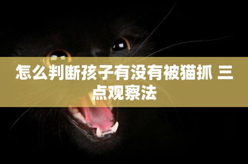 怎么判斷孩子有沒有被貓抓 三點觀察法