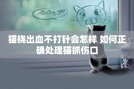 貓撓出血不打針會怎樣 如何正確處理貓抓傷口