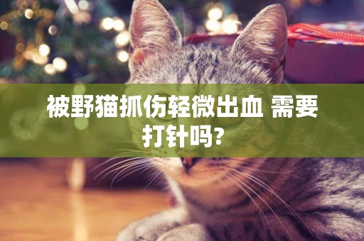 被野貓抓傷輕微出血 需要打針嗎?
