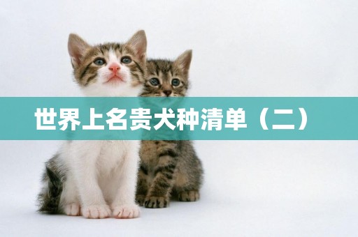 世界上名貴犬種清單（二） 