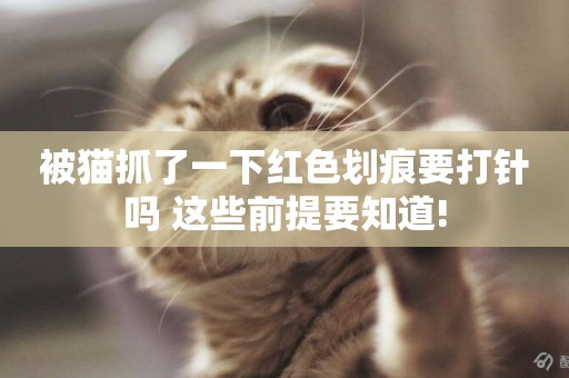 被貓抓了一下紅色劃痕要打針嗎 這些前提要知道!