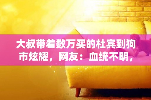 大叔帶著數萬買的杜賓到狗市炫耀，網友：血統不明，500就不錯了 