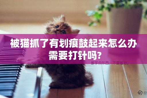 被貓抓了有劃痕鼓起來怎么辦 需要打針嗎?