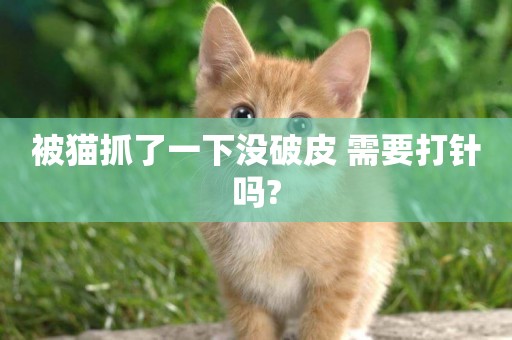 被貓抓了一下沒破皮 需要打針嗎?