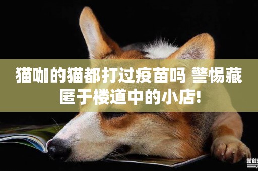 貓咖的貓都打過疫苗嗎 警惕藏匿于樓道中的小店!