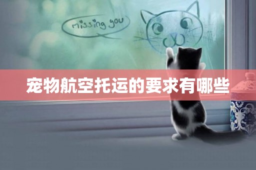 寵物航空托運的要求有哪些