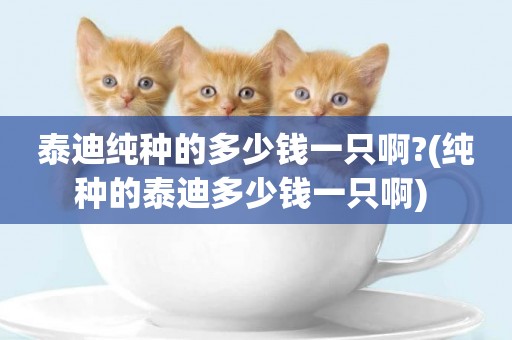 泰迪純種的多少錢一只啊?(純種的泰迪多少錢一只啊) 