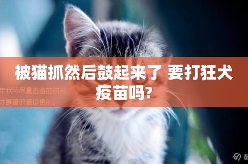 被貓抓然后鼓起來了 要打狂犬疫苗嗎?