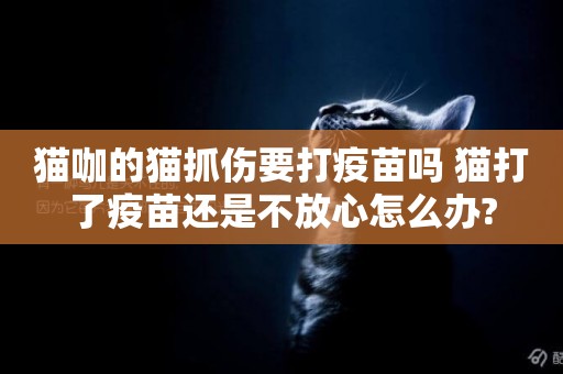 貓咖的貓抓傷要打疫苗嗎 貓打了疫苗還是不放心怎么辦?