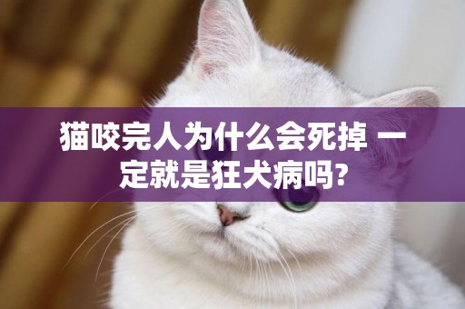 貓咬完人為什么會死掉 一定就是狂犬病嗎?