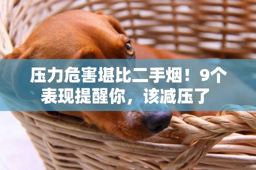 壓力危害堪比二手煙！9個表現提醒你，該減壓了 