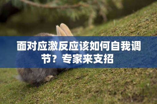 面對應激反應該如何自我調節？專家來支招 