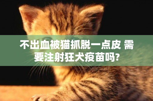 不出血被貓抓脫一點皮 需要注射狂犬疫苗嗎?