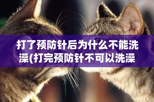 打了預防針后為什么不能洗澡(打完預防針不可以洗澡的原因) 