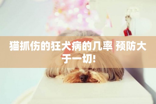貓抓傷的狂犬病的幾率 預防大于一切!