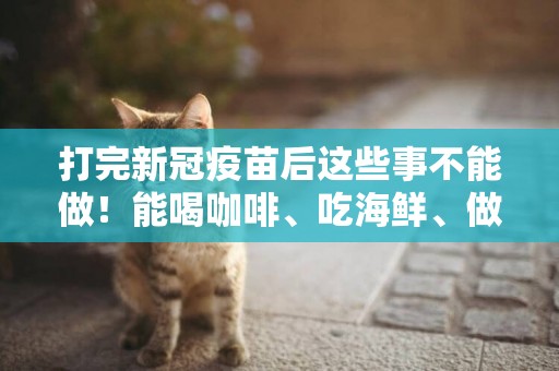 打完新冠疫苗后這些事不能做！能喝咖啡、吃海鮮、做運動、吃感冒藥嗎？權威解答→ 