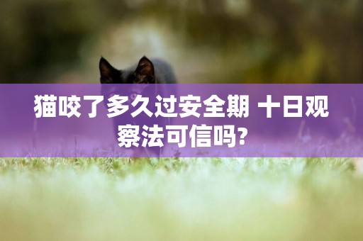 貓咬了多久過安全期 十日觀察法可信嗎?