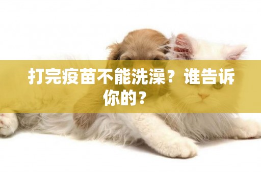 打完疫苗不能洗澡？誰告訴你的？ 