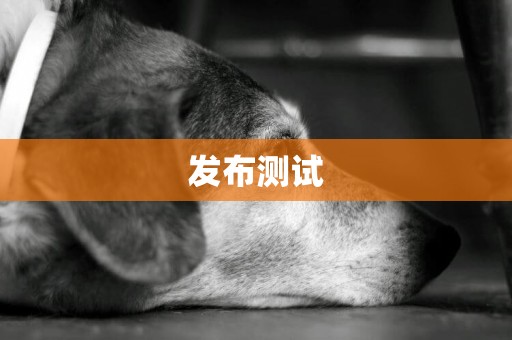 發布測試