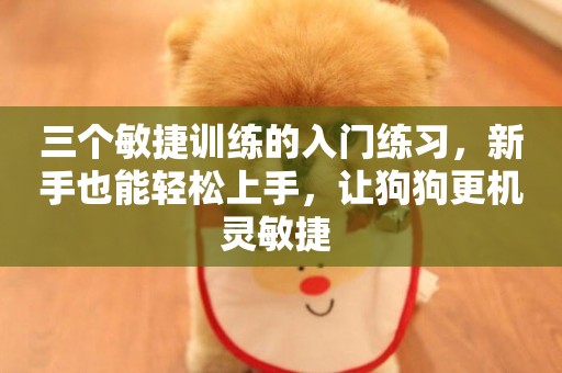 三個敏捷訓練的入門練習，新手也能輕松上手，讓狗狗更機靈敏捷 