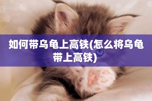 如何帶烏龜上高鐵(怎么將烏龜帶上高鐵) 