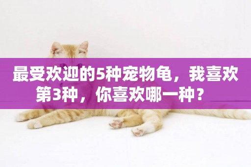 最受歡迎的5種寵物龜，我喜歡第3種，你喜歡哪一種？ 