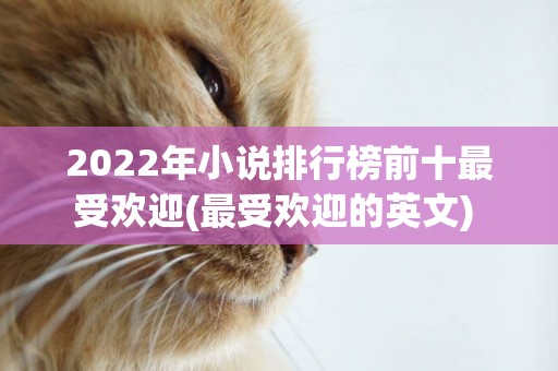 2022年小說排行榜前十最受歡迎(最受歡迎的英文) 